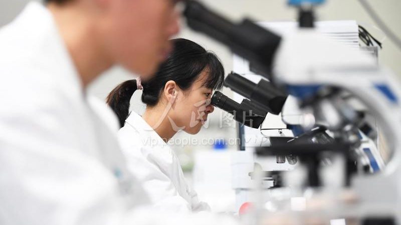 RNA提取试剂盒操作步骤详解：关键环节与注意事项
