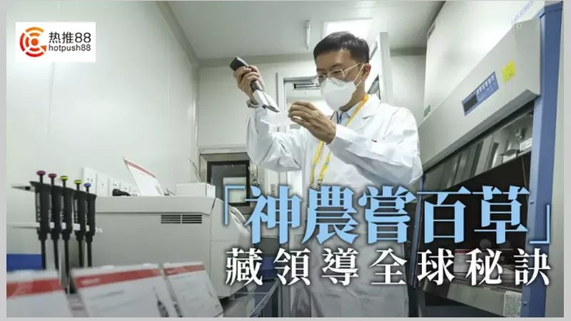 肿瘤靶向基因检测：揭秘基因检测套餐的奥秘