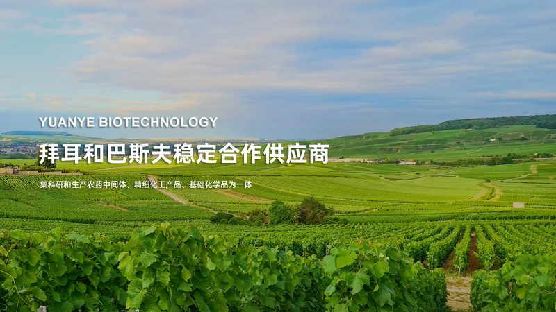 北京生物医药园入驻条件：揭秘入驻门槛与政策要点**