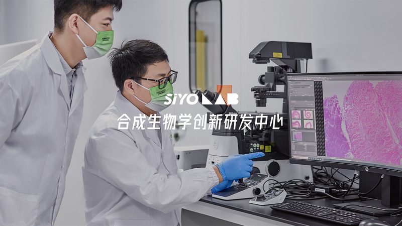 双抗亲和力检测：方法对比与选择指南