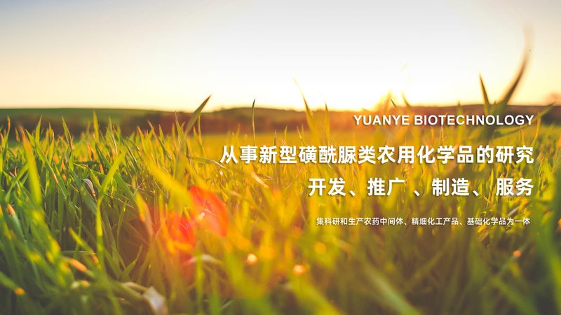 国产生物实验室设备：揭秘十大品牌背后的技术秘密**