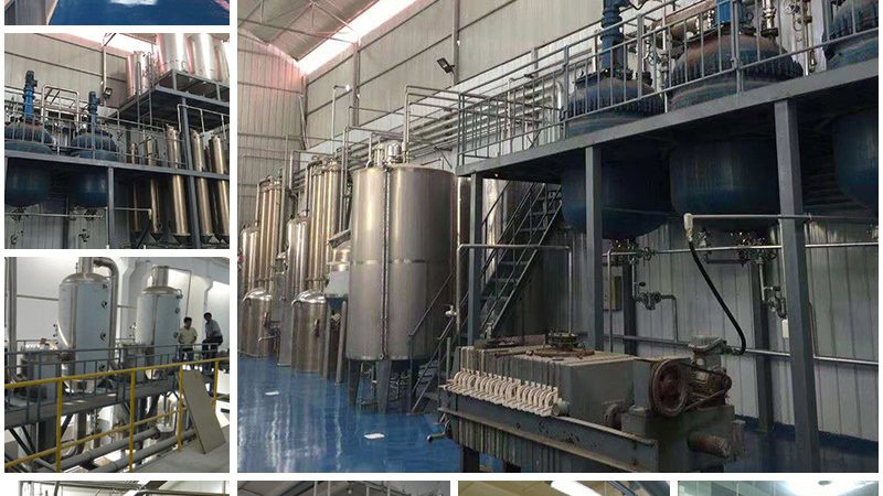 荧光定量PCR试剂盒：揭秘其背后的科学原理与选型要点**
