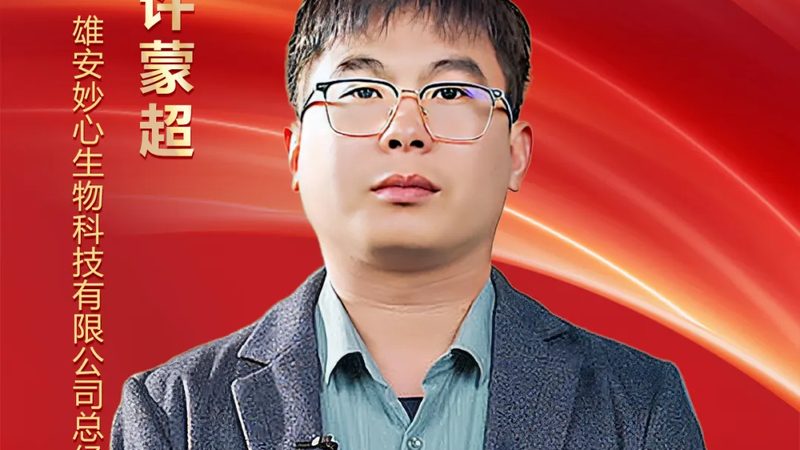 CDMO质量标准文件模板：构建合规与高效的研发基石