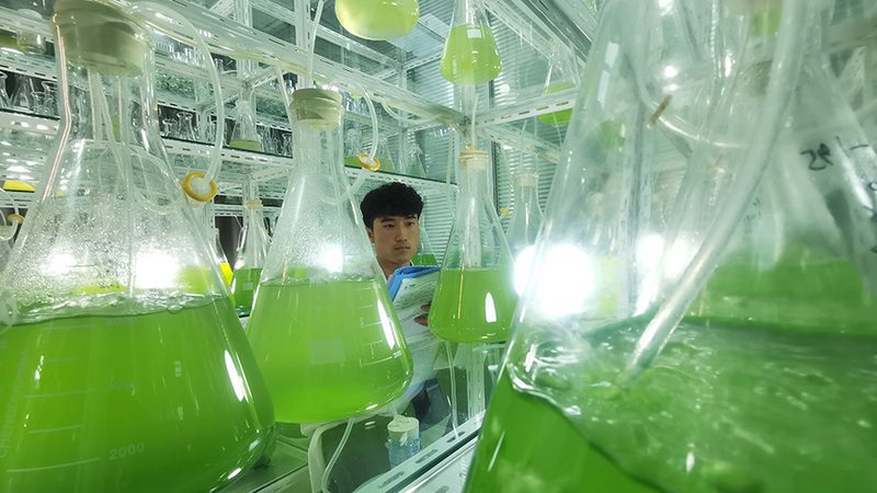 肿瘤基因检测套餐批发报价